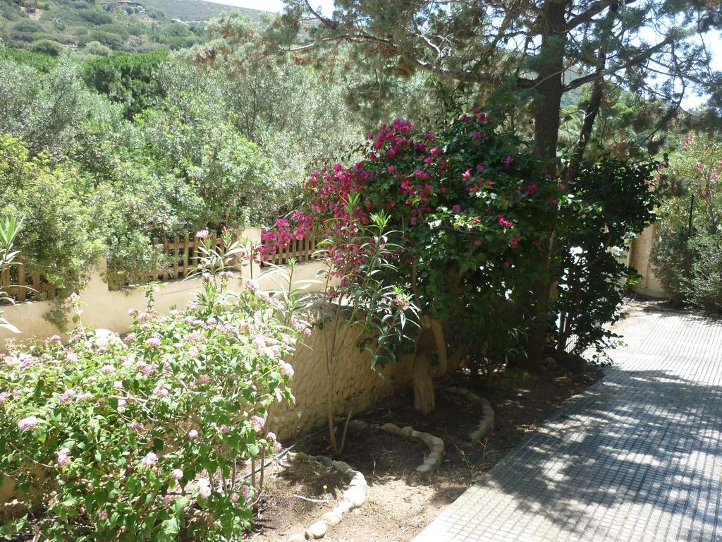 Villa Bonu Torre delle Stelle Luaran gambar